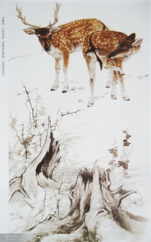 画法|几种动物工笔画法步骤