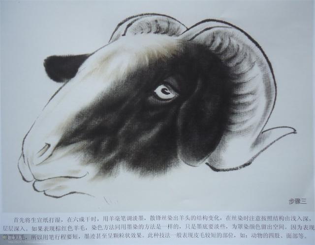 画法|几种动物工笔画法步骤