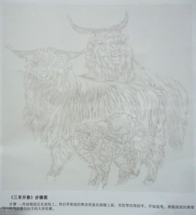 画法|几种动物工笔画法步骤