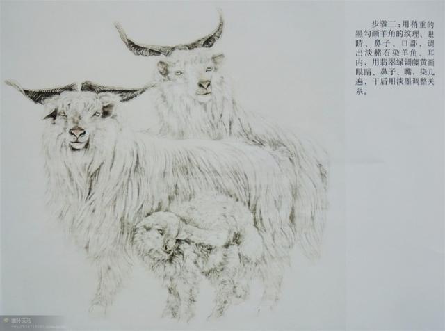 画法|几种动物工笔画法步骤