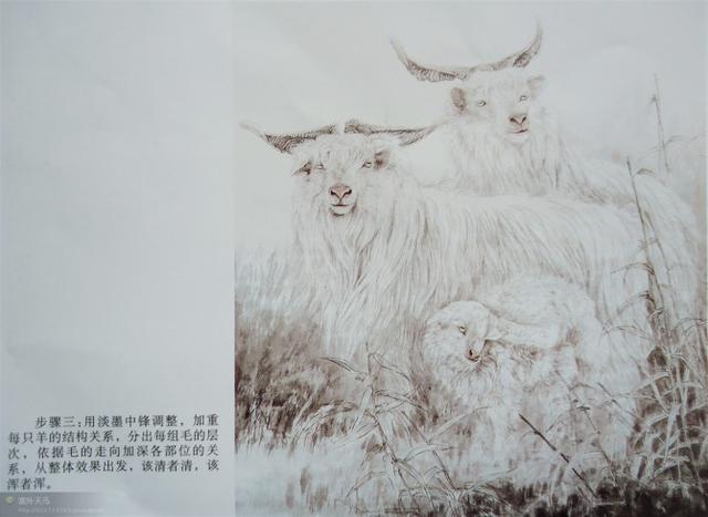 画法|几种动物工笔画法步骤