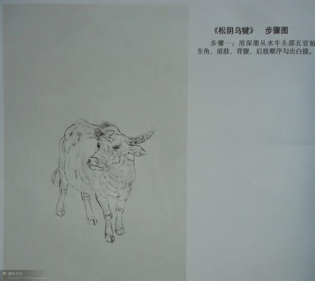 画法|几种动物工笔画法步骤