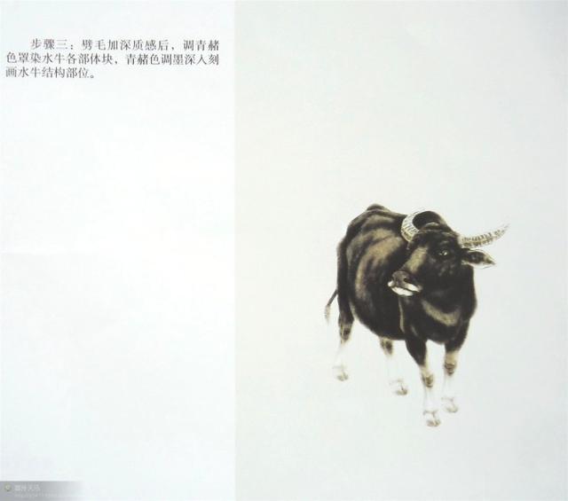 画法|几种动物工笔画法步骤