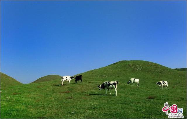 南山国家公园 如诗如画水秀山明