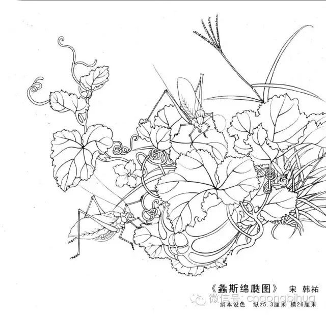 书画鉴赏丨宋画经典花鸟小品.白描图稿