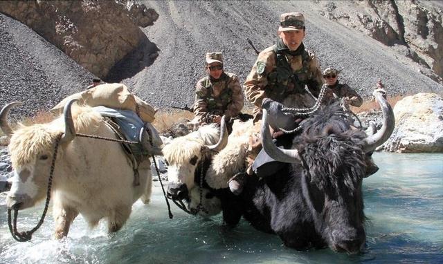 組圖中國邊防兵騎犛牛巡邏中巴邊境死亡谷