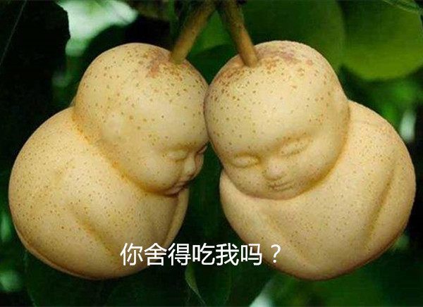 人参果|人参果为何也能让人长生？看看这形状，或许镇元子并不简单！