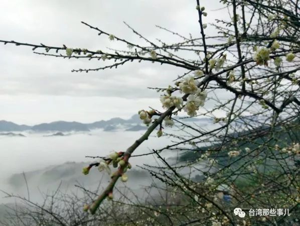 谁说在台湾看雪一定要爬高 这四个地方比 雪国 还美 腾讯网