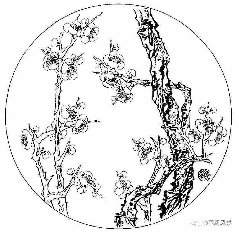 这组白描梅花太美了!