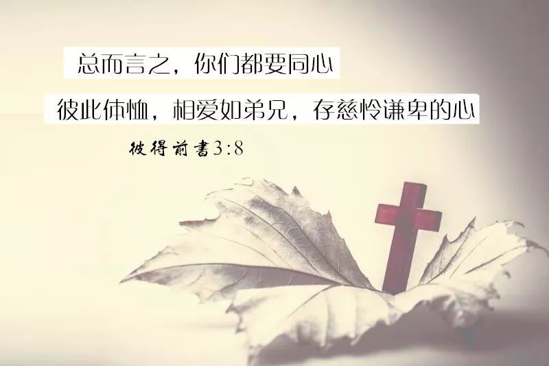 我们是基督徒 我们以此为荣 但我们也不要做这十种基督徒 腾讯新闻