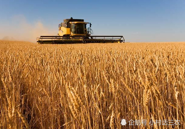 村产业如何旺起来?如何认识乡村振兴战略的2