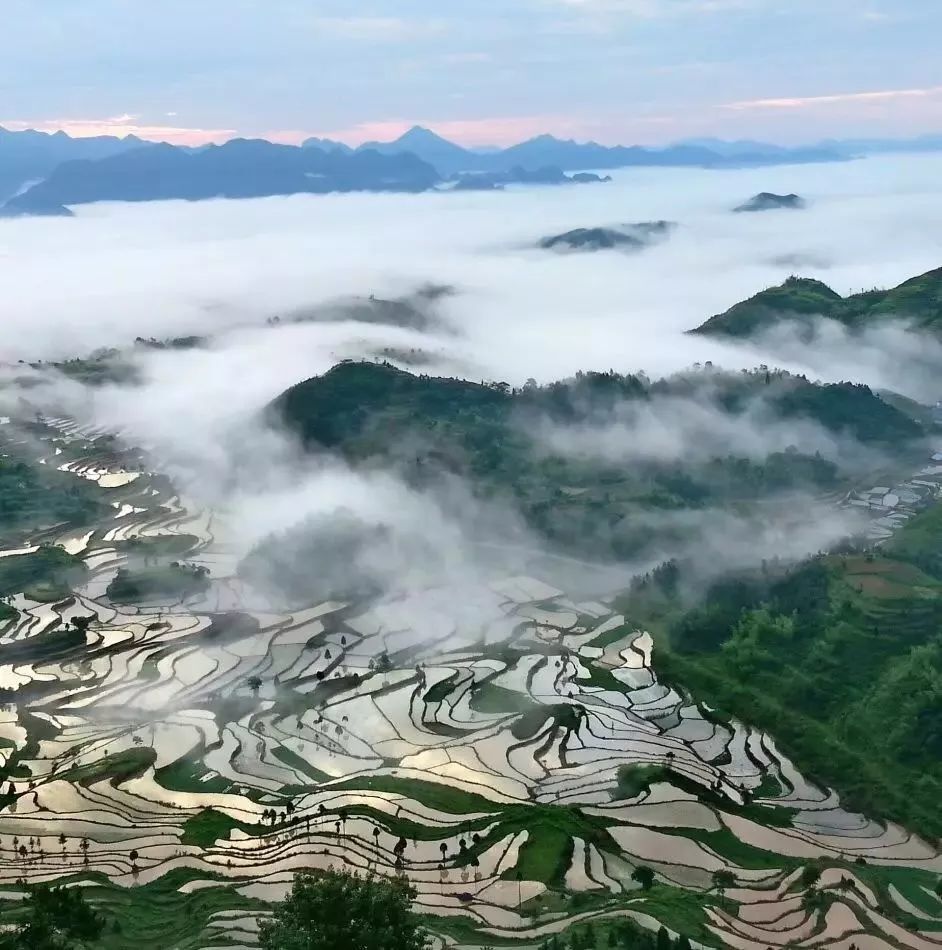 好攝之徒的慢時光茗岙梯田隱藏在浙南大山深處的美景6月我們約起