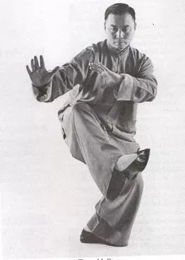 传世经典鬼魅神手董虎岭杨氏85式百看不厌品味无穷