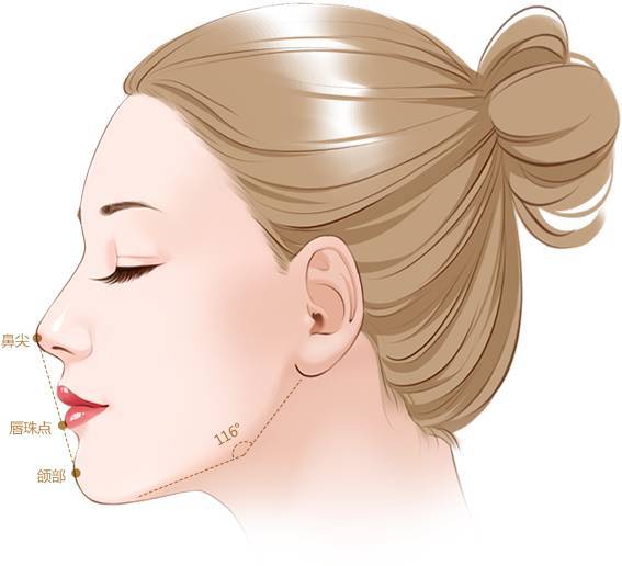 面部美学丨标准