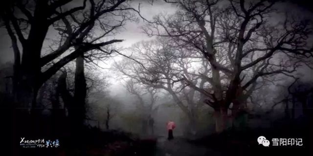 银装素裹隆冬景 寒梅傲雪分外娆