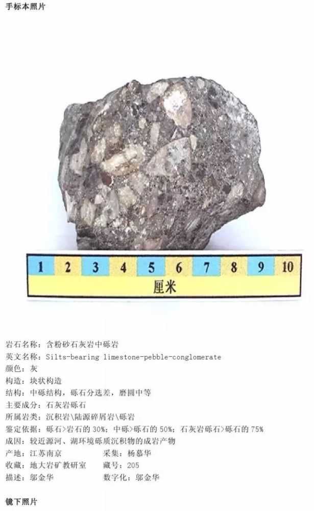 熔结火山角砾岩粗面质晶屑玻屑凝灰岩玻屑凝灰岩火山角砾岩晶屑凝灰