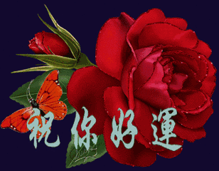 今天是腊月初六,好东西送给我最真挚的朋友,请查看