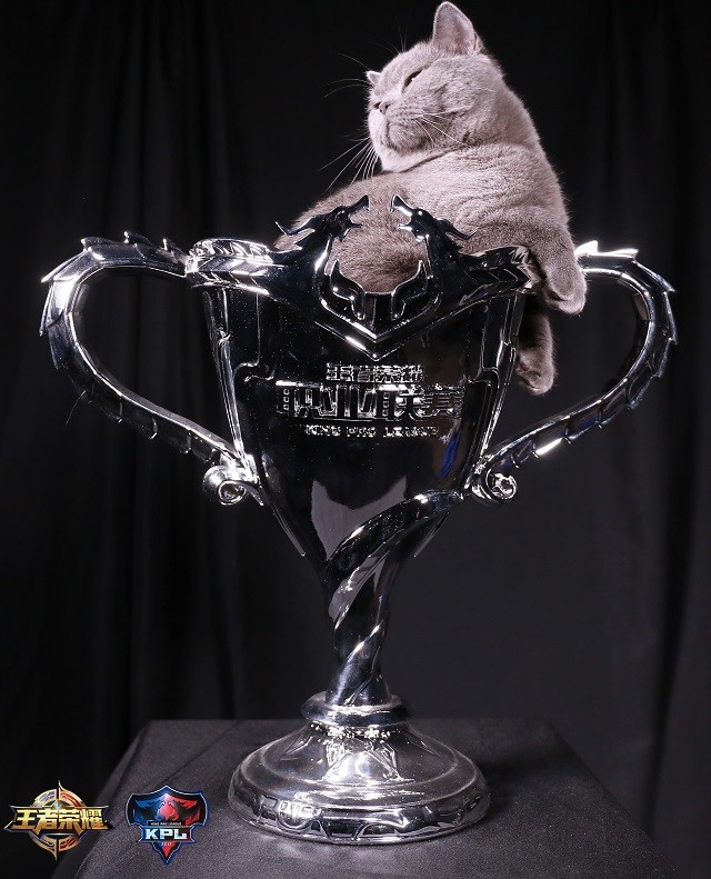 QG青训营探班采访猫神:2018KPL我们都在同一