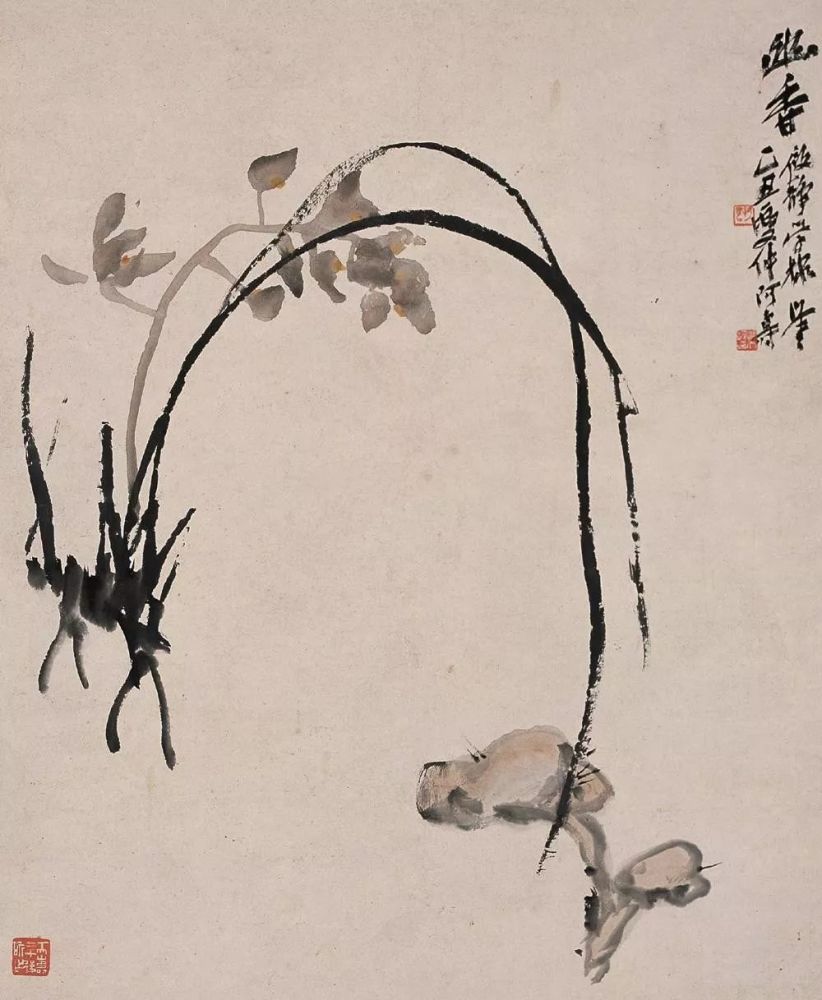 最适合入画的十大吉祥植物您可懂