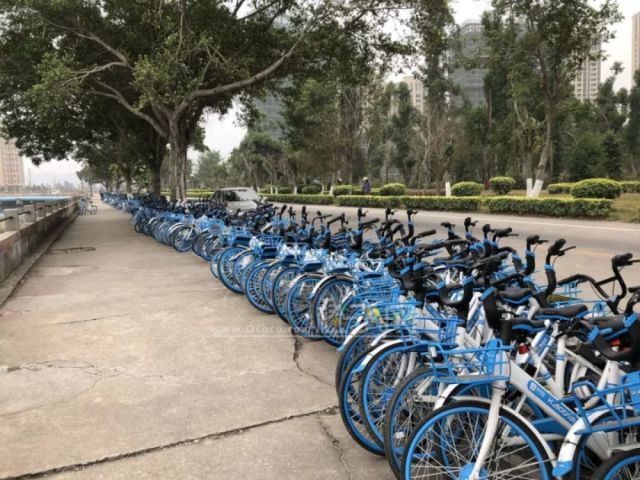 开平迳头河堤惊现大量被拆共享单车,原来真相