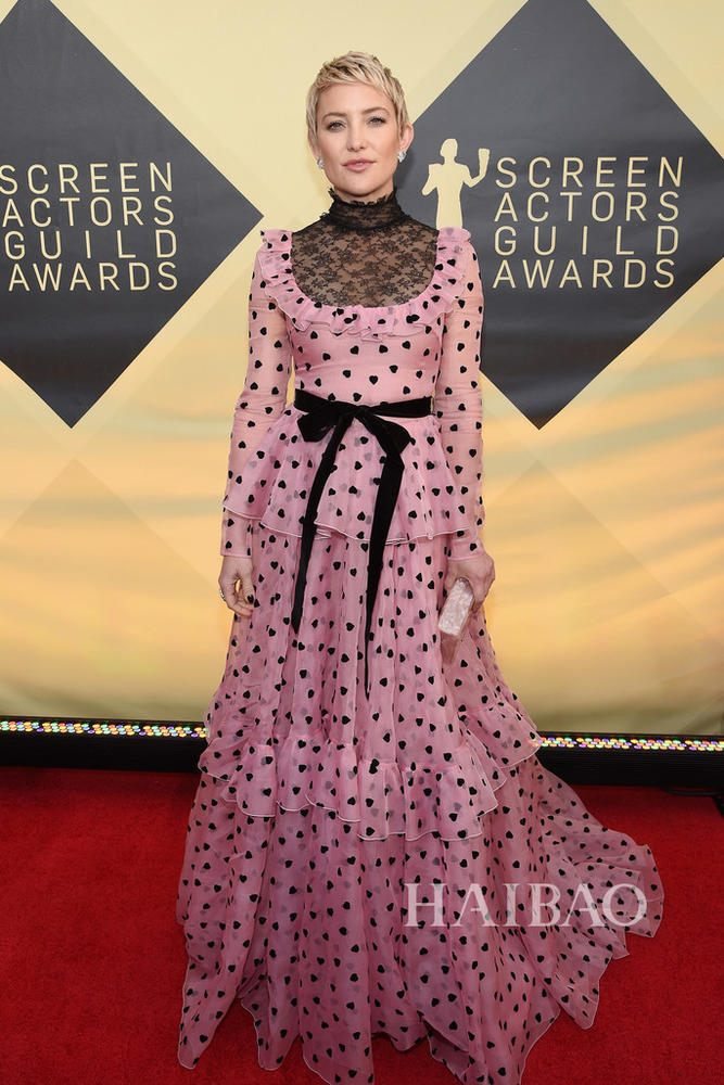 2018年美国演员工会奖(SAG Awards)颁奖典礼