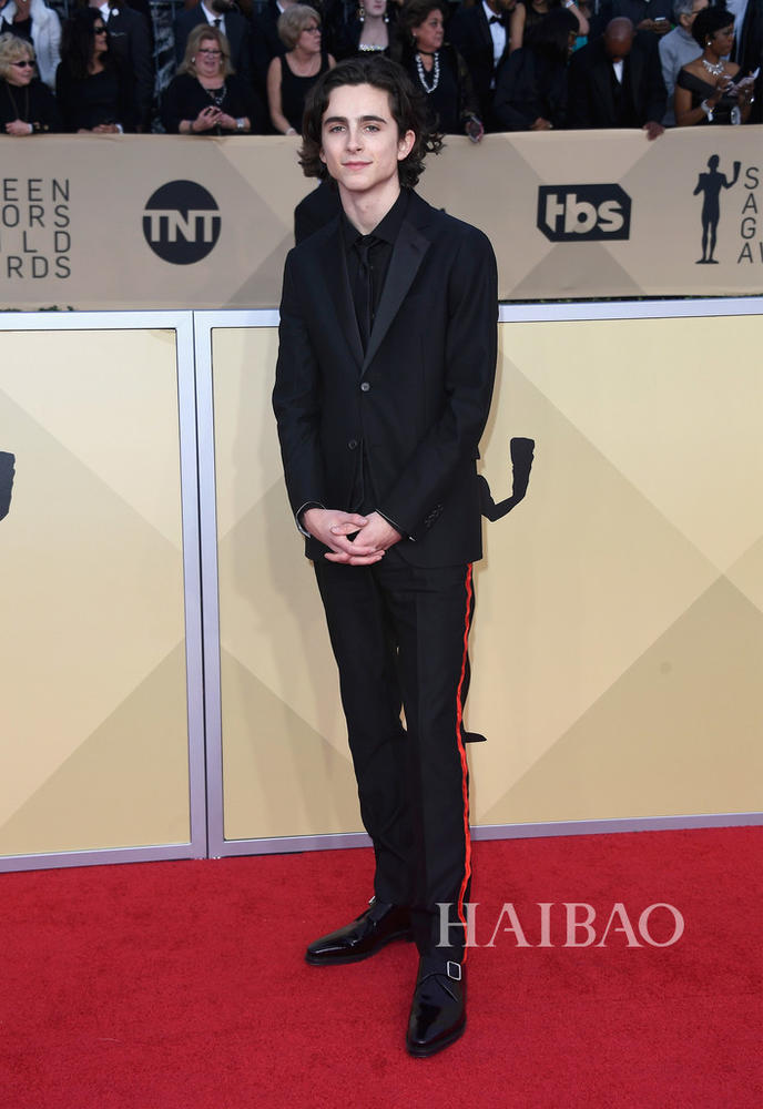 2018年美国演员工会奖(SAG Awards)颁奖典礼