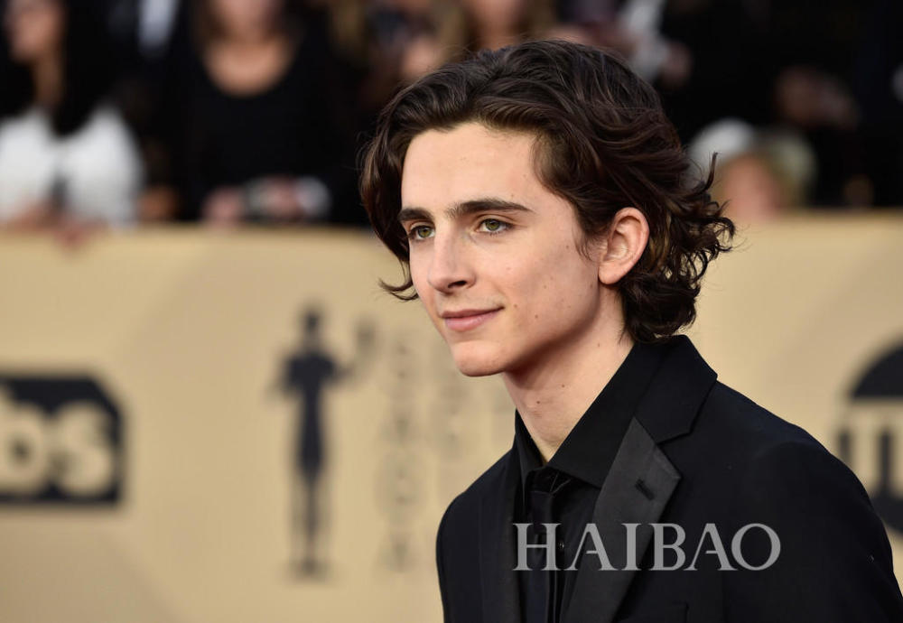 2018年美国演员工会奖(SAG Awards)颁奖典礼