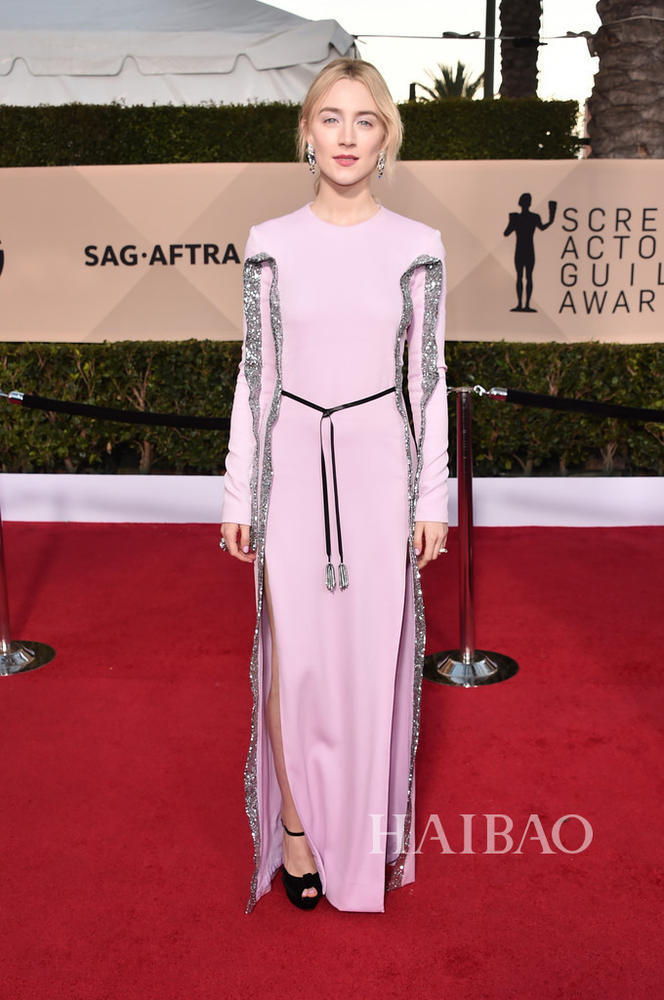 2018年美国演员工会奖(SAG Awards)颁奖典礼