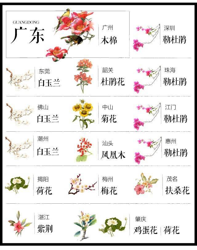 中国各城市市花大集合,你家乡的市花叫啥?