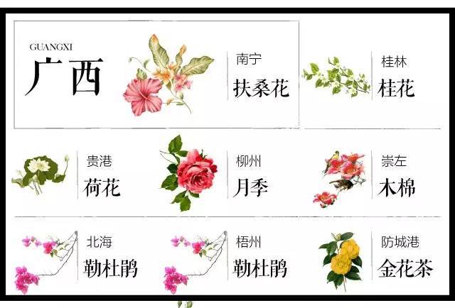 中國各城市市花大集合你家鄉的市花叫啥