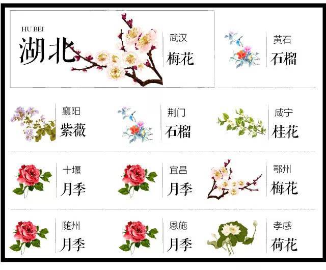 中國各城市市花大集合你家鄉的市花叫啥