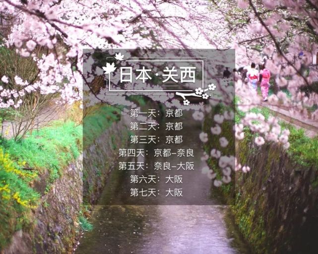 3月到5月 6条樱花线路让你一次看个够