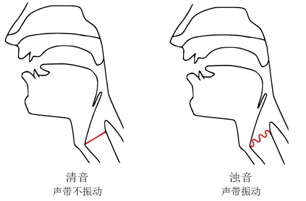 为什么老外把功夫拼作 KungFu?谈谈清浊音与
