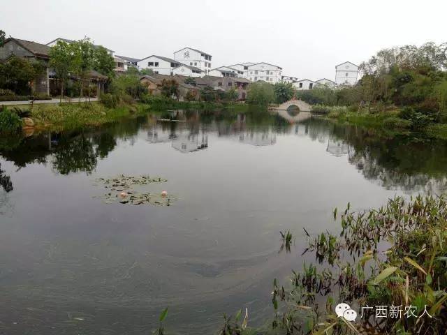 廣西南寧市地圖_廣西地圖 南寧_廣西南寧旅游地圖