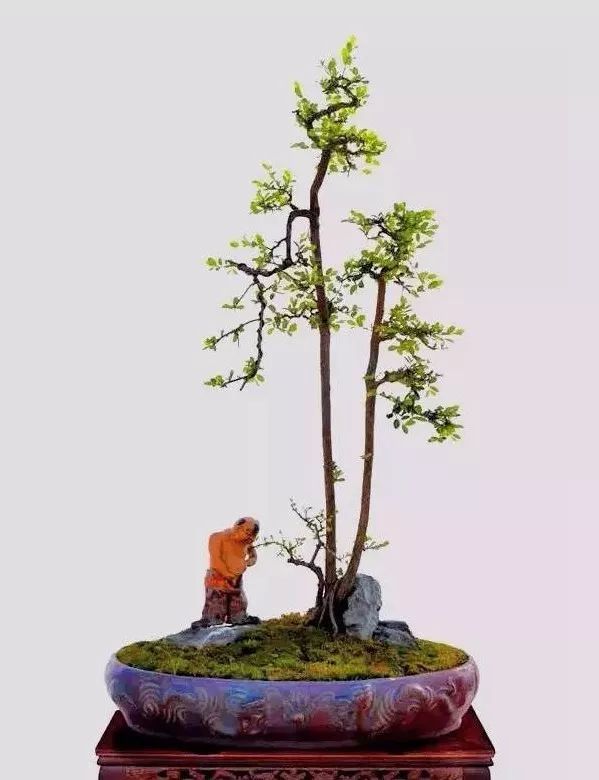 双杆文人树动静有致