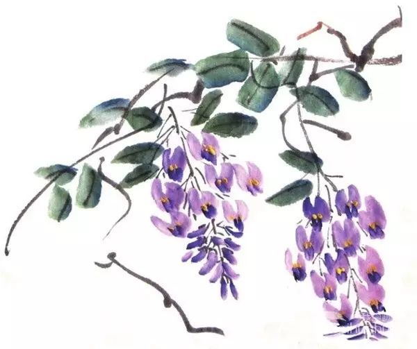 国画紫藤花绘画步骤教六画法二画藤顺势而为,因习惯而定.