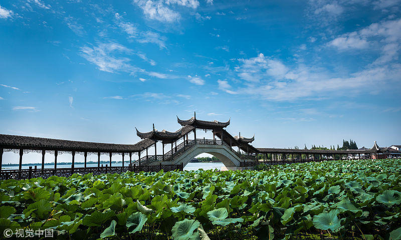 上海经济排名2020_南通向南:GDP破万亿,坐稳江苏第四城