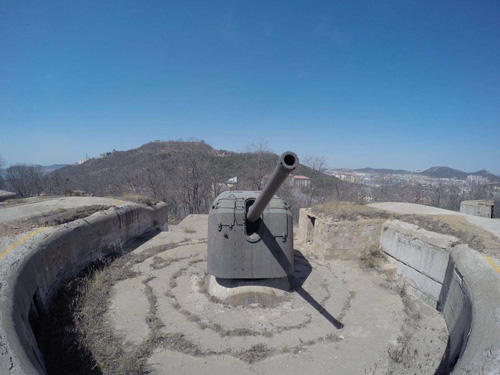 清军驻守旅顺口天险炮多兵足,为何仅一天就被日军攻克?