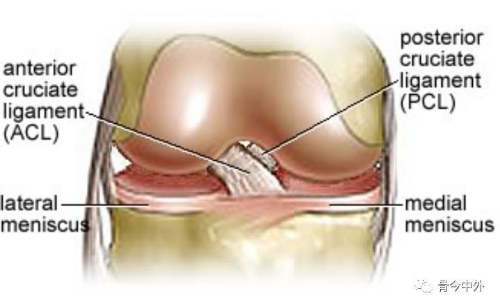 膝关节半月板及韧带的mri诊断 腾讯新闻