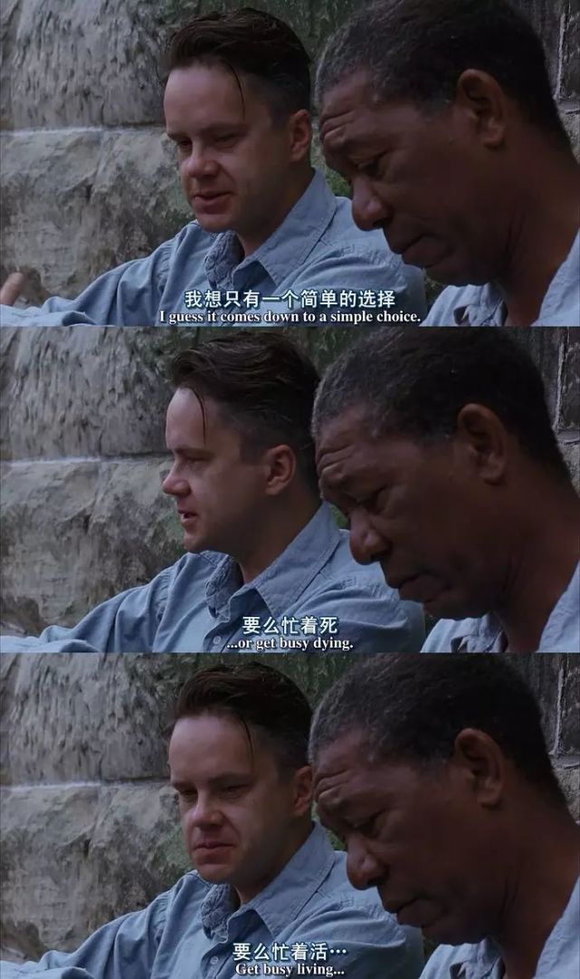 50部英文电影经典台词,总有一句打动你!
