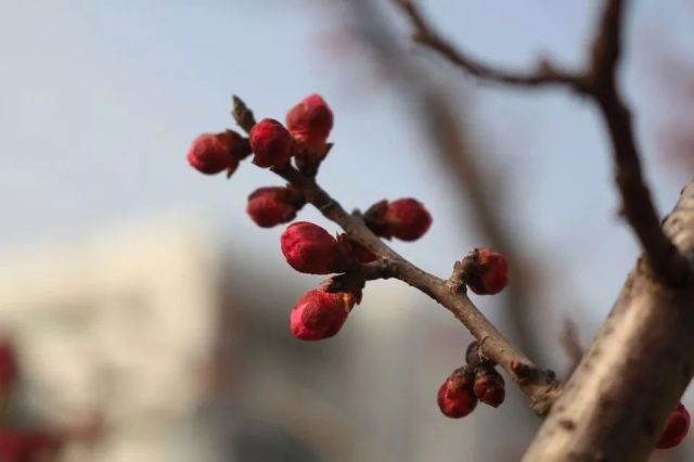 願你陪我度過春夏秋冬