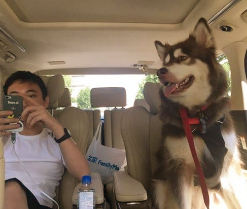 王思聪|“娱乐圈纪检委”王思聪与“夜店小王子”郑恺，两人为此而成为朋友