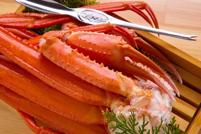 历代日本天皇都爱吃的越前蟹,还藏着上千年的