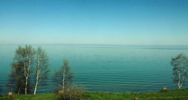 创意农业案例之二十二:前景广阔的俄罗斯未来