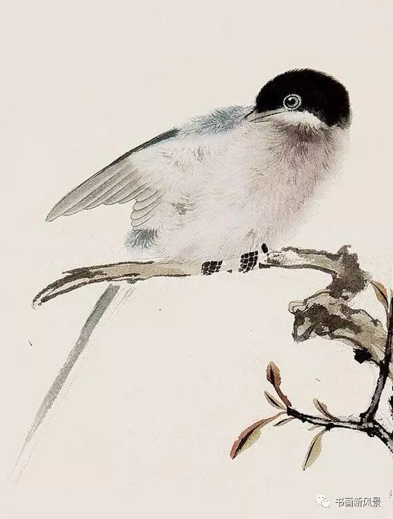 张其翼|都说他的花鸟，通灵入神，果不其然！