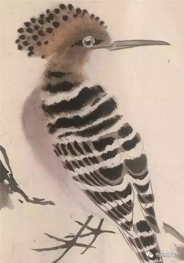 张其翼|都说他的花鸟，通灵入神，果不其然！