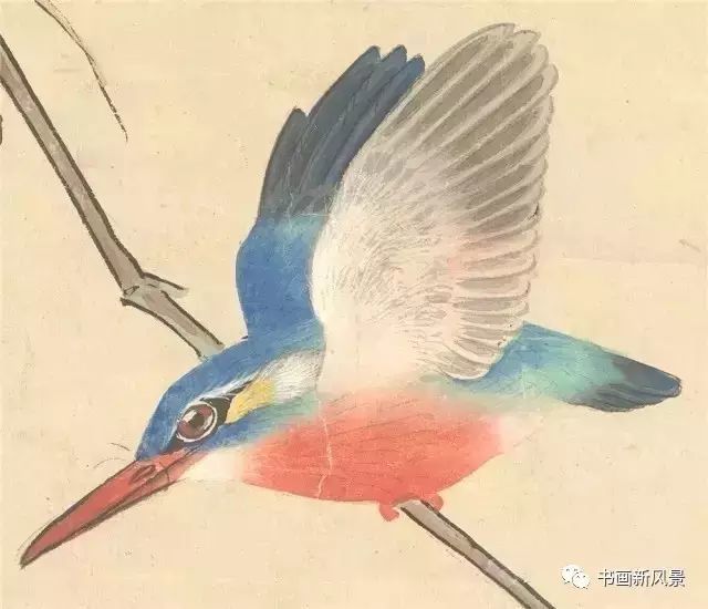 张其翼|都说他的花鸟，通灵入神，果不其然！