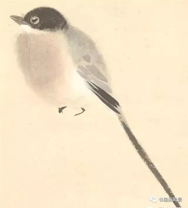 张其翼|都说他的花鸟，通灵入神，果不其然！