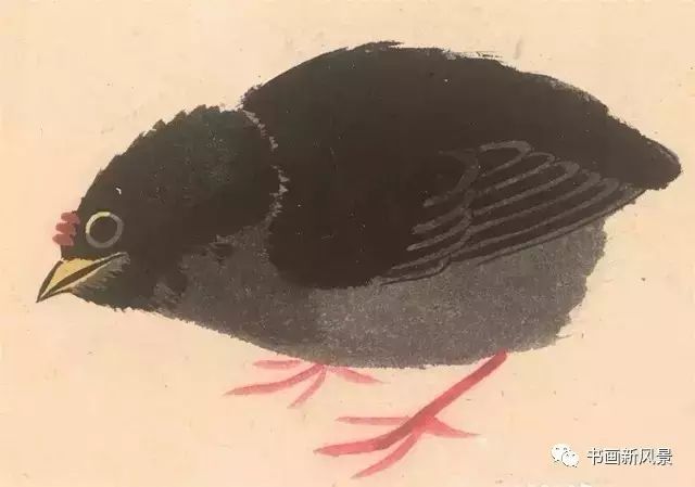 张其翼|都说他的花鸟，通灵入神，果不其然！