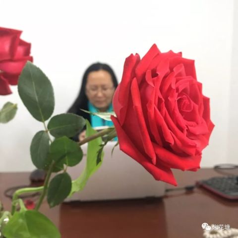 米花塘 她是 周先生